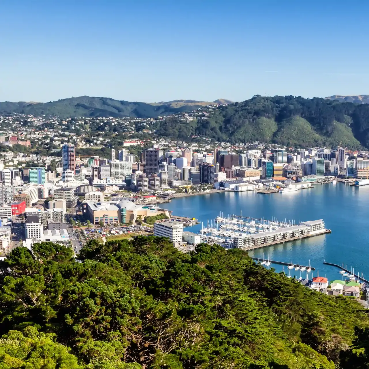 Wellington