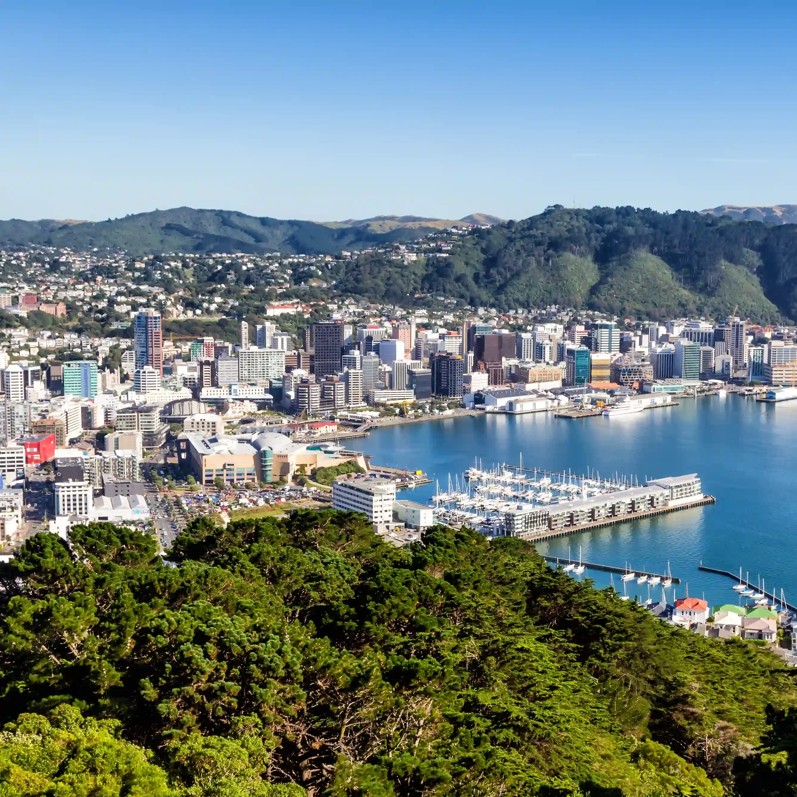 Wellington